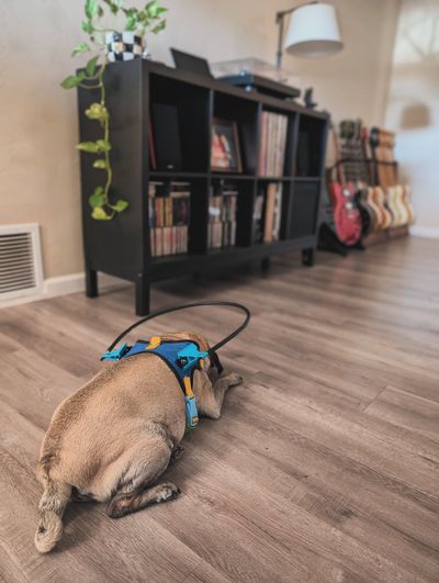 Henry listening to music.