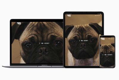 henrythepug.com
